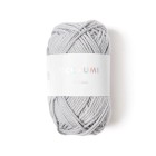 Fil Ricorumi Gris argenté