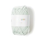 Fil Ricorumi Vert glace