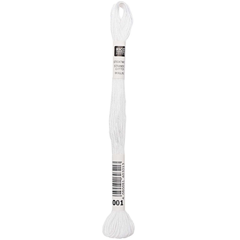 Fil à broder mouliné Blanc