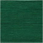 Fil Ricorumi Vert sapin